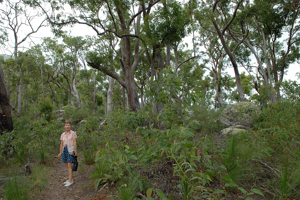 0621 Walshs Pyramid.jpg